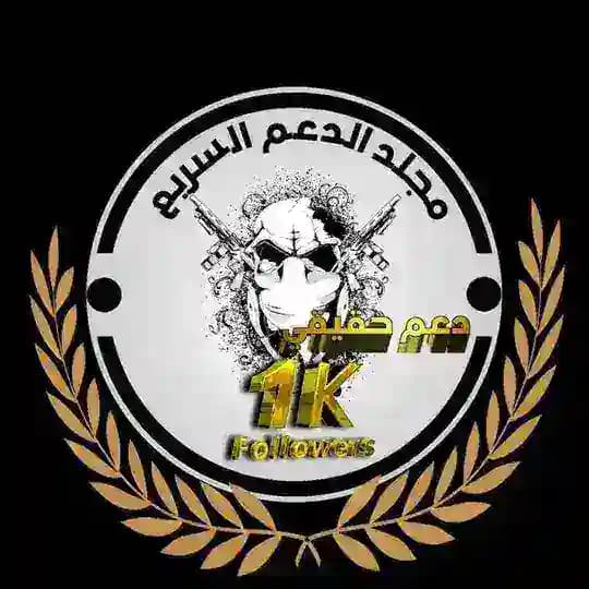 استقبال مجلد الدعم السريع(2H) Profile