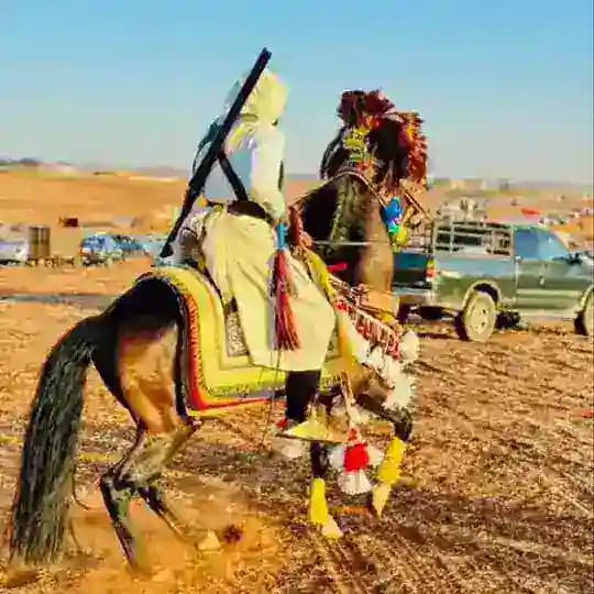 غناوي علم وشتاوي🤍🔥 Profile