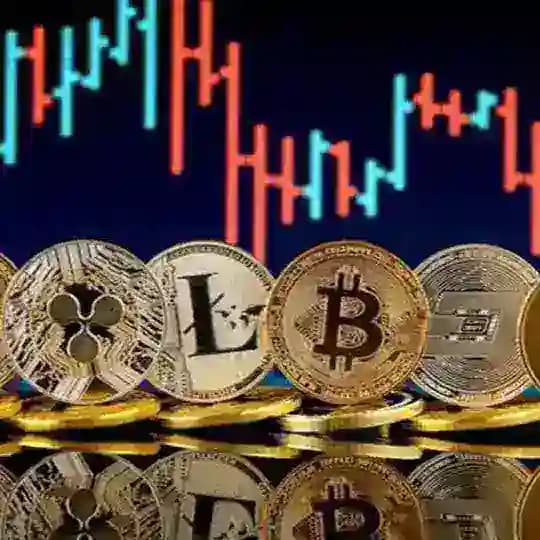 Vadeli İşlemler Bitcoin X100 Profile
