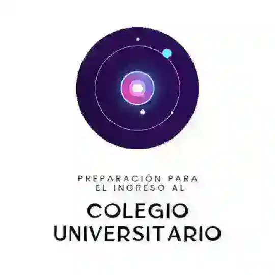 Preparación Colegio Universitario Profile