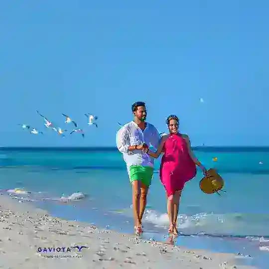 GaviotaTurismo ¡Contamos Contigo! Profile