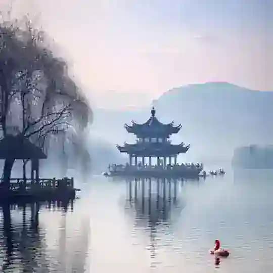 杭州•茶友汇【禁广告】 Profile