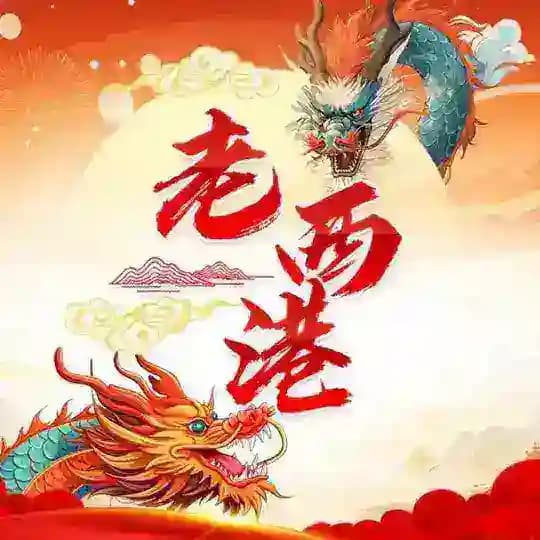 老西港华人交流群 Profile