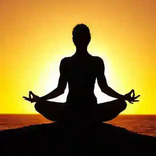 Yoga & Meditation Profile
