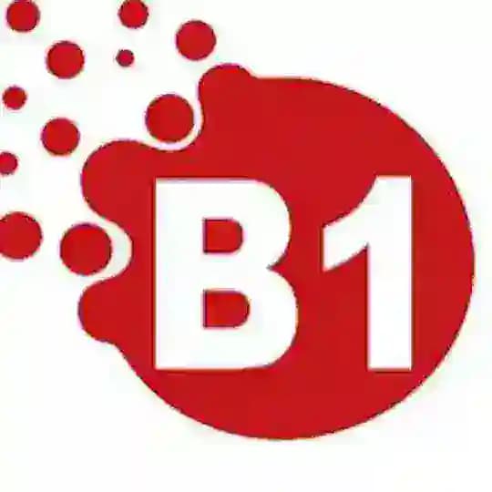 B1 telc Profile