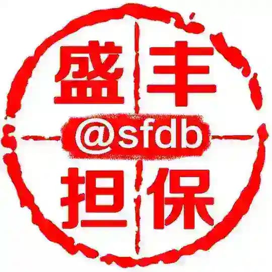101-天眼查+质押业务上押6666U 4月1 Profile
