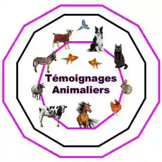 TEMOIGNAGES ANIMALIERS pour TOUS Profile