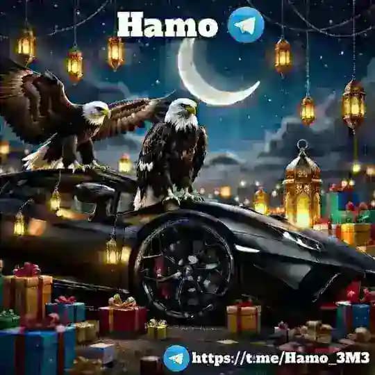 ⚜️ نت مجاني مصر | Chat ⚜️ Profile