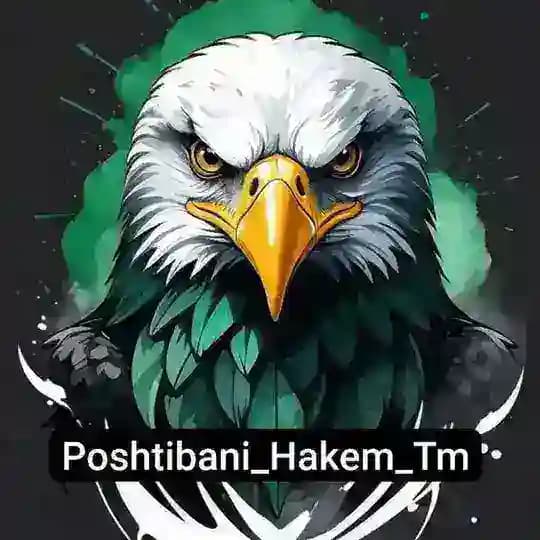 پشتیبانی♱ʜᴀᴋᴇᴍ Profile