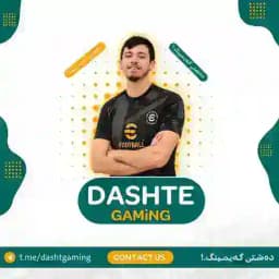 Grup_DaShTe_gaming Profile