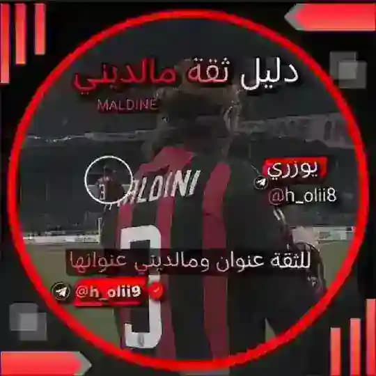 دليل ثقة || MALDINE Profile
