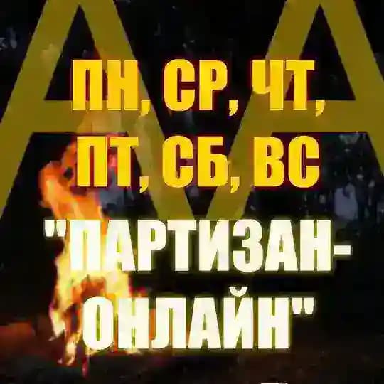АА "Партизан Онлайн" Profile