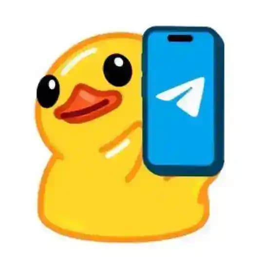 Username Holic Profile