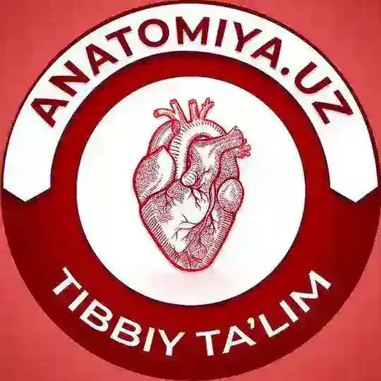 Anatomiya.uz o‘quv kursi Profile