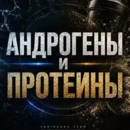 АНДРОГЕНЫ И ПРОТЕИНЫ Profile