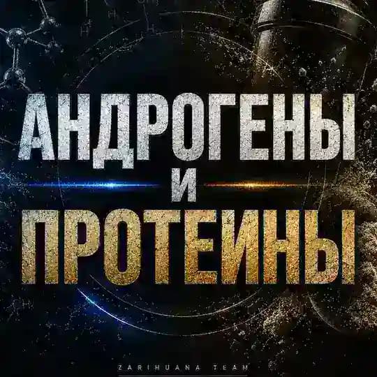 АНДРОГЕНЫ И ПРОТЕИНЫ Profile