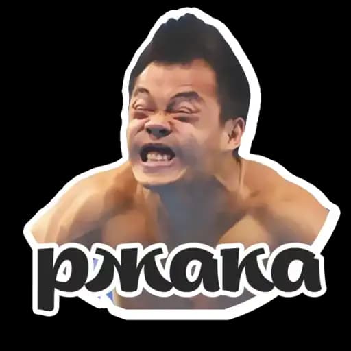 Memes @stickersb2b Profile